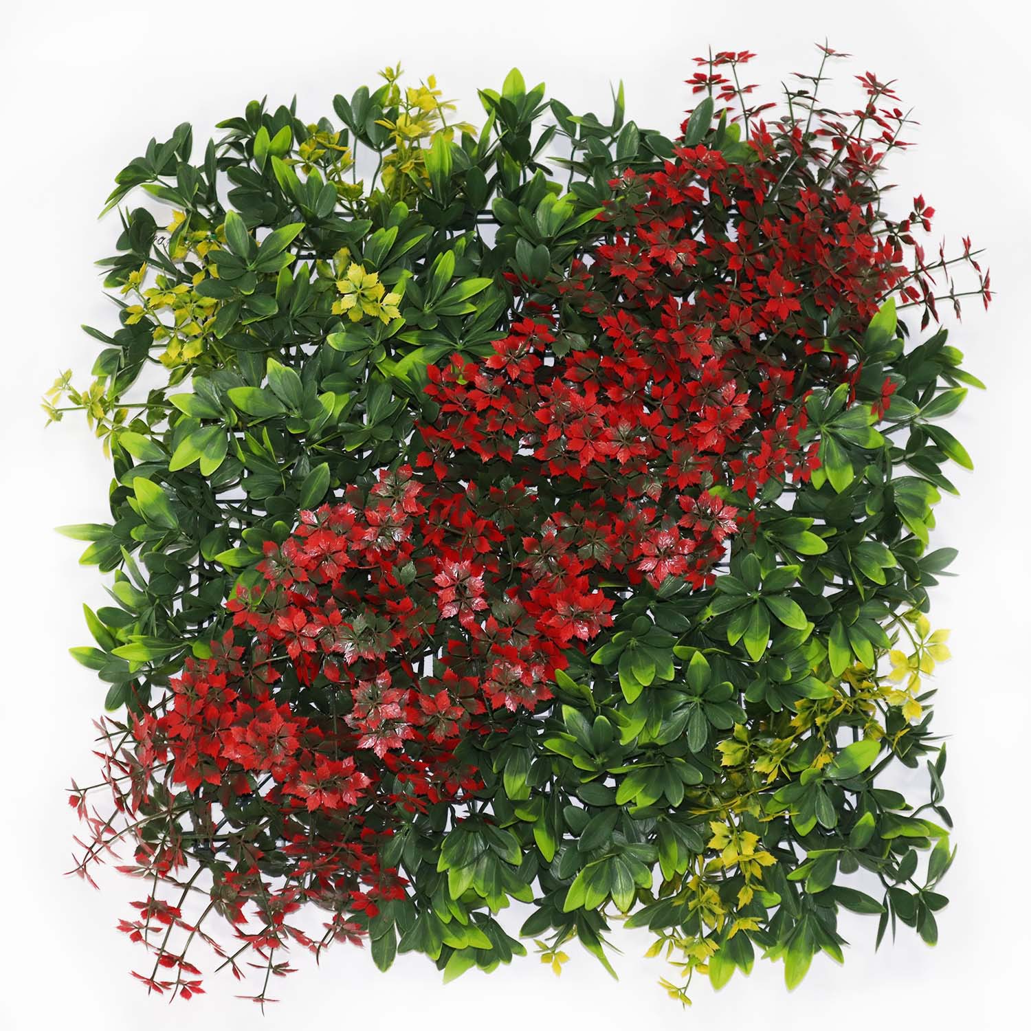 living wall indoor home living wall indoor home