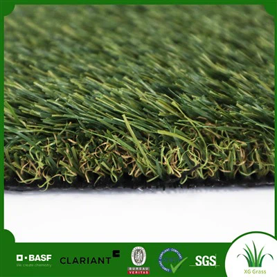 การจัดสวนหลังบ้านด้วยหญ้าเทียม