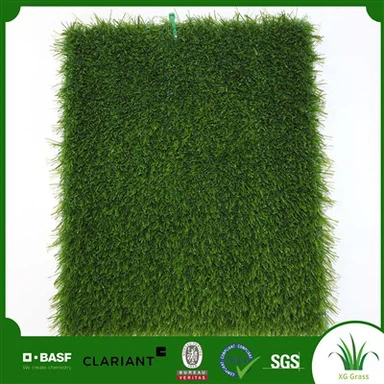 ฟุตบอล หญ้า ฟุตบอล ไม่มีทราย ไม่มียาง