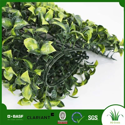 กำแพงสีเขียวสำหรับสำนักงาน