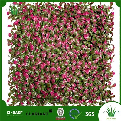 ผนังพืชบ้าน